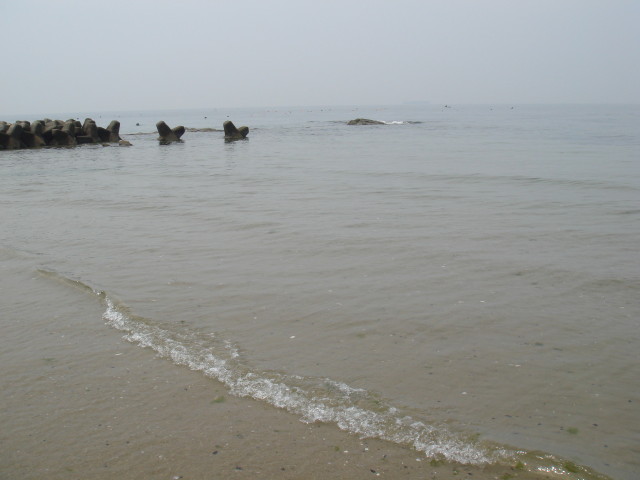 img0091.jpg